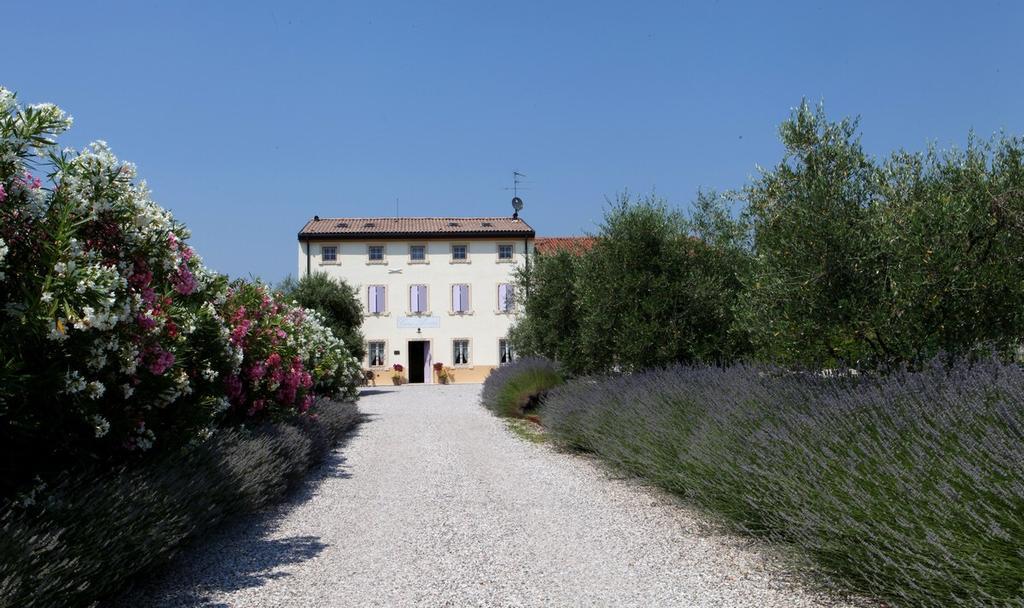 Agriturismo Casa Aurora Vila Bussolengo Exterior foto