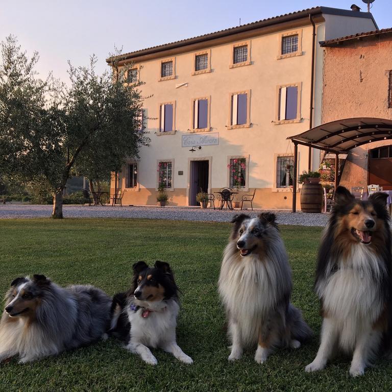 Agriturismo Casa Aurora Vila Bussolengo Exterior foto