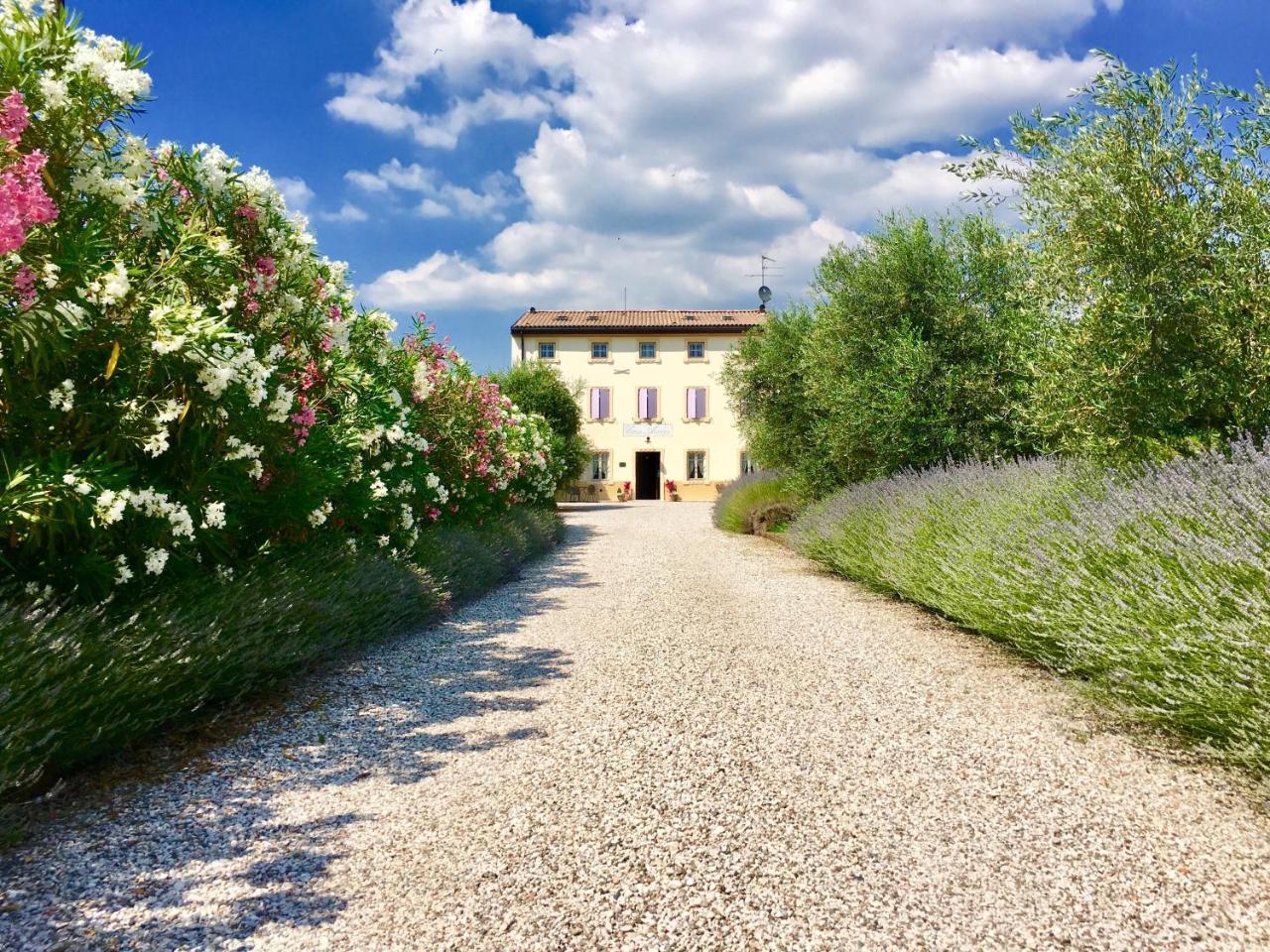 Agriturismo Casa Aurora Vila Bussolengo Exterior foto